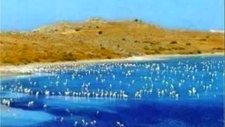 Müslüm Gürses-Bir Fırtına Kopacak