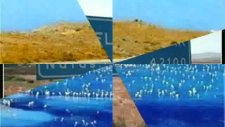 Müslüm Gürses-Damar Budur