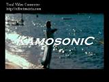 Kenwood Pioneer Harward Kamosonıc