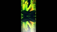 Amatör-Slayt