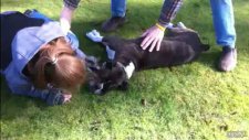 Kalp Masajı İle Köpeğin Hayatını Kurtarıyor
