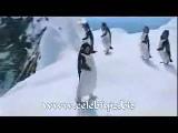 Penguenler Eşliğinde Ali Koç'dan Türkü- Fikir Koy