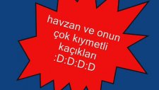 Havzan Kur'an Kursu