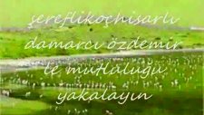 Müslüm Gürses-Vicdanın Yokmu Senin