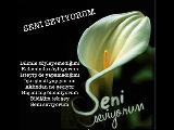 Ecel Olsun Bana Senden Başkası