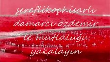 ferdi tayfur-tersine döndü çarkım