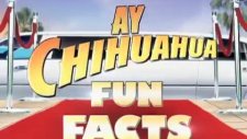 beverly hills chihuahua 2 3 fragmanı