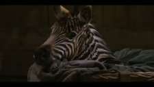 racing stripes fragmanı 1