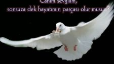 Teklif Ediyorum @tilla.video