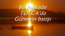 Tolca