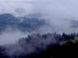 Artvin