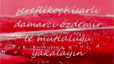 zeki müren-sen hep beni mazideki halimle tanırsın