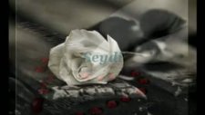 dön bir can ölüyor sensiz