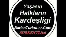 elimden gelseydi