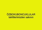 ensar berçin