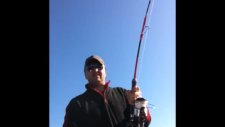 Marmaris Jigging Akye 15 Kg