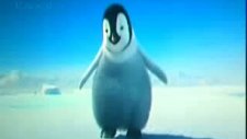 Horon Oynayan Penguen @tilla Video