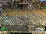 Knight Online Bdw