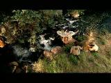 Nightwish - Amaranth Nightwish - Amaranth