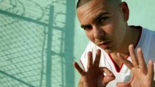 Pitbull-Mr.worldwide 2011
