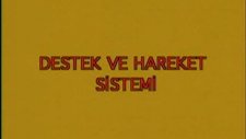 İskelet Kas Eklem