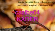Zeki Müren Sen Kimseyi Sevemezsin