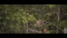 the proposal fragmanı 3