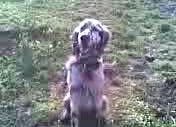 video002