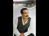 Seyfi Doğanay - Yollara Düşerim