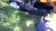 Video001