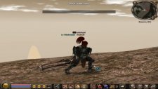 Metin2 Ws Samarra