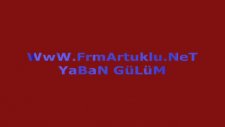 Yaban Gülüm Numan Hadi