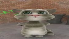 Tom Cat Küfür Ediyor Şarkı Söylüyor Küfrediyor Fena Komik