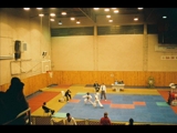 Emine Sahin Tekvando