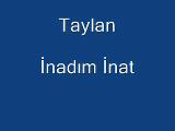 Taylan-İnadım İnat