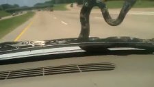 110 Km Hızda Beklenmedik Misafir