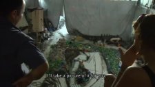 Waste Land -