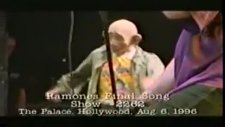 the ramones eddie vedder - any way you want ıt