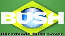Bush - All My Life /