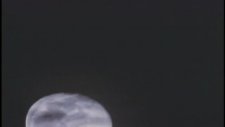 Baseball On The Moon