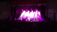311 wild nights