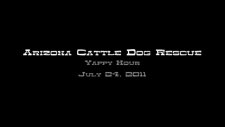 Acdr Yappy Hour - July 24 2011