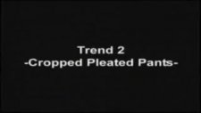 Christine's Quick Tips Cropped And Pleated Pants