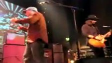 The Bees - Chicken Payback