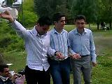 Halay