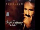 Seyfi Doğanay