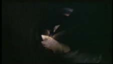 thief fragmanı 1