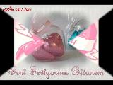 Kursat-Ver Elini {by Shenay}