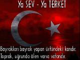 Ozan Arif - Vurgunum Ozan Arif - Vurgunum