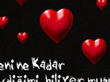 gaziantep yolu